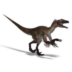 Dinosaur Utahraptor