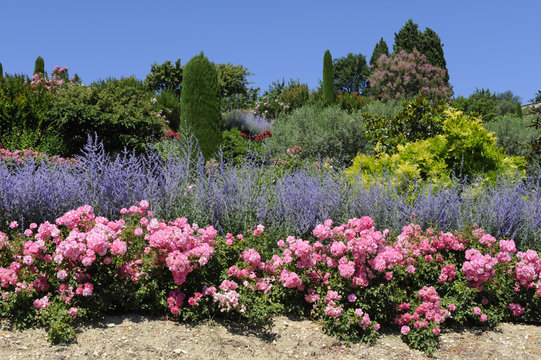 jardin proven&ccedil;al