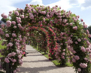 Rosenboegen, Rosengarten Beutig