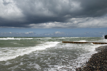 Wilde Ostsee