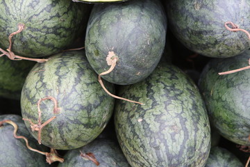 Wassermelone