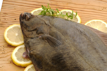 Passera di mare - Pleuronectes platessa