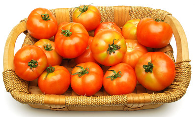 pomodori insalatari