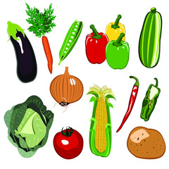 Lots of colorful Vegetables