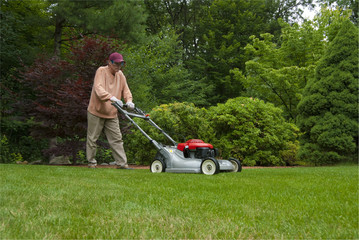 Male mowing lawn