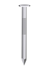 Isolated nail on white background