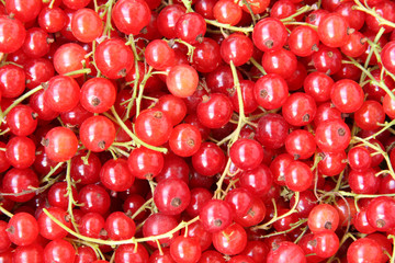 Red currants