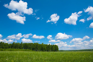 Fototapeta premium Nice weather