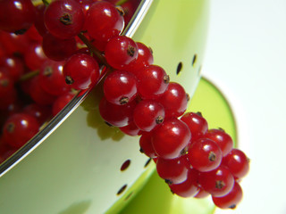 Johannisbeeren I