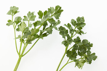 イタリアンパースリー