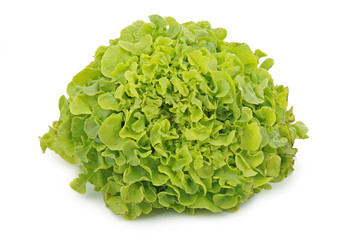 salade verte sur fond blanc