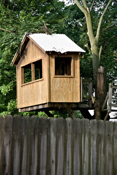 Tree House