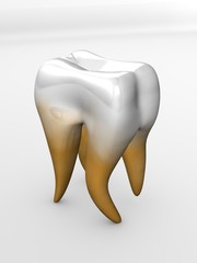 isolated teeth