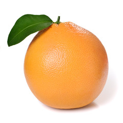Orange and leaf
