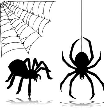 spider two vector silhouettes