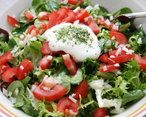 frischer salat