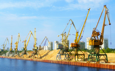 cranes, port