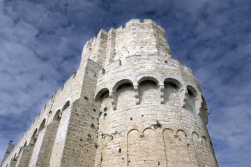 la torre del castello