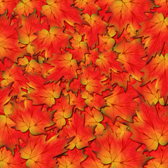 Naklejka na ściany i meble Autunno foglie-Autumn Leaves-Feuilles D'Automne-2