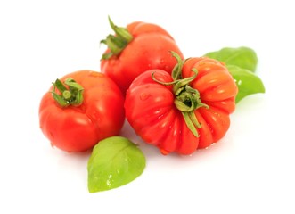 Tomaten