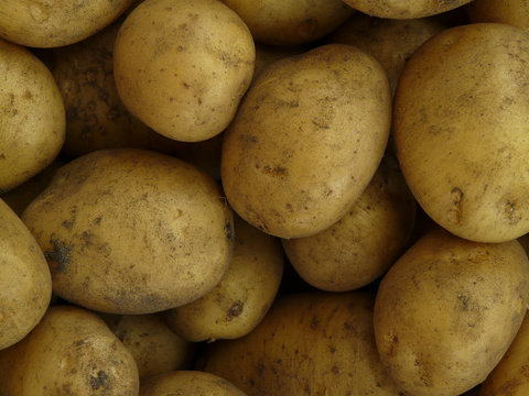 Kartoffeln I