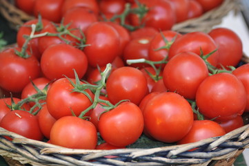 tomates au marché
