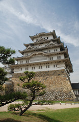 Fototapeta na wymiar Himeji Castle Z Drzewa, Japonia