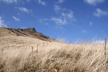 Montagne en Auvergne (Cantal)