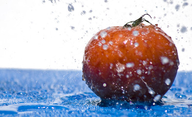 Fototapete bei efototapeten.de bestellen   