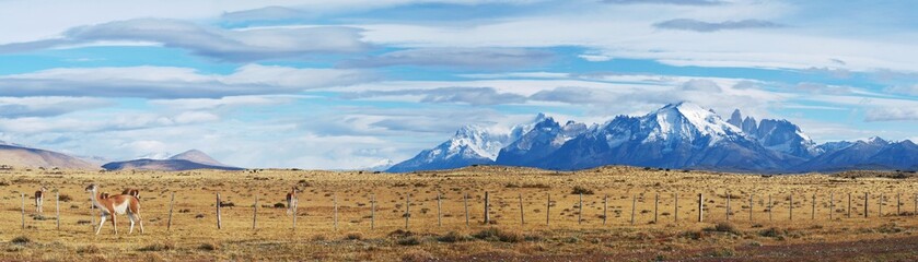 Patagonie panoramique