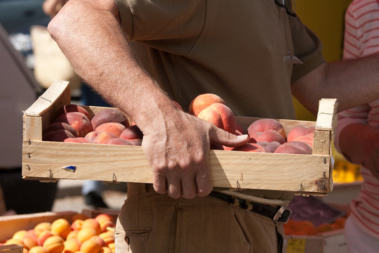 Au retour du march&eacute; un acheteur tient une cagette de p&ecirc;ches sous son bras