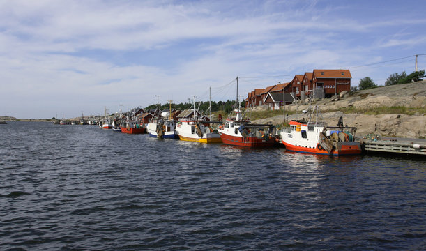 Fishermans harbour