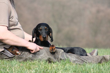 Brandlbracke mit Herrchen