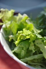 Salade verte