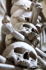 skuls in catacombs