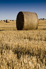 Fototapeta premium golden hay bales