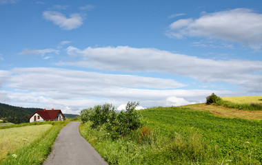 Fototapeta premium Road To Home