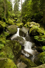 Fototapeta na wymiar Waterfall - Triberg - Czarny Las