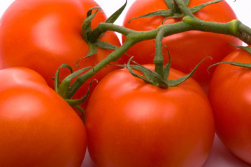Fresh tomatoes. Macro studio isolated on white.