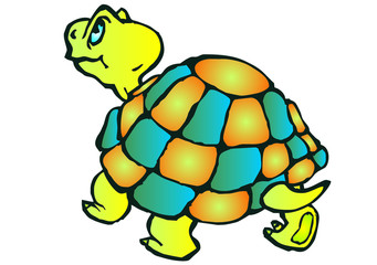 turtle