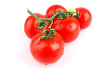 tomato close up