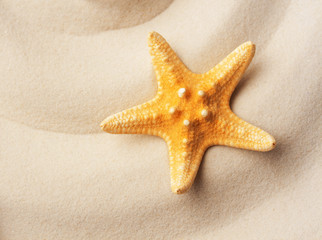 beautiful starfish on the sand; summer concept with copy space