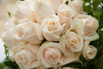 hochzeitsrosen