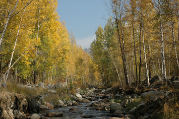 Autumn landscape