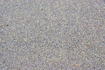 Mohnsamen - poppy-seed 01