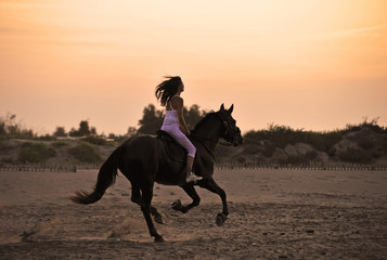 galop sur la plage