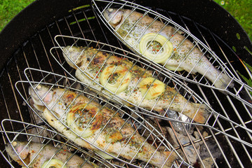 Grillen Forelle - grilling trout 06