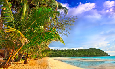 Tropics © Maria Skaldina