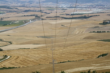 Red electica de alta tension sobre campos de trigo.
