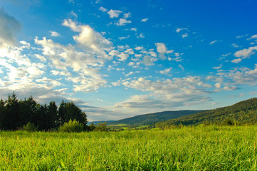 Fototapeta premium Sommerlandschaft